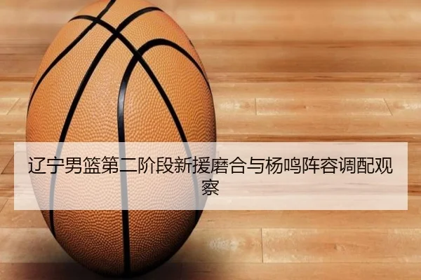辽宁男篮第二阶段新援磨合与杨鸣阵容调配观察